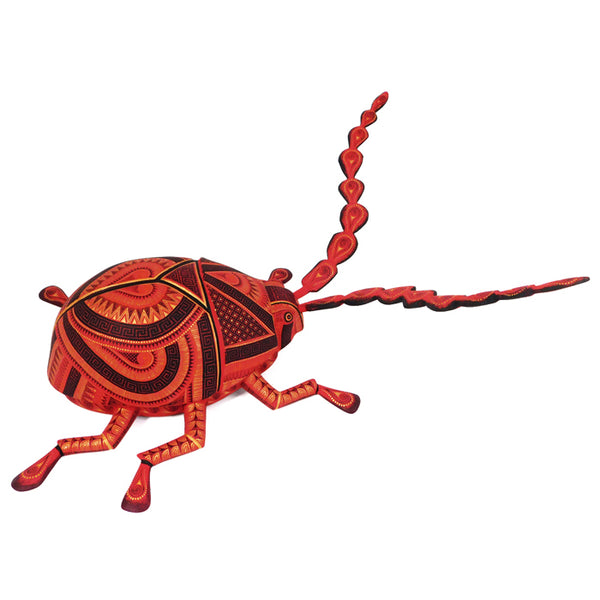 Rocio Fabian: Spectacular Ladybug