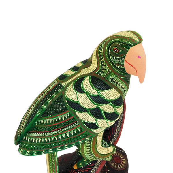 Rocio Fabian: Splendid One-Piece Macaw