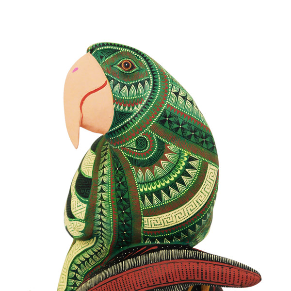 Rocio Fabian: Splendid One-Piece Macaw