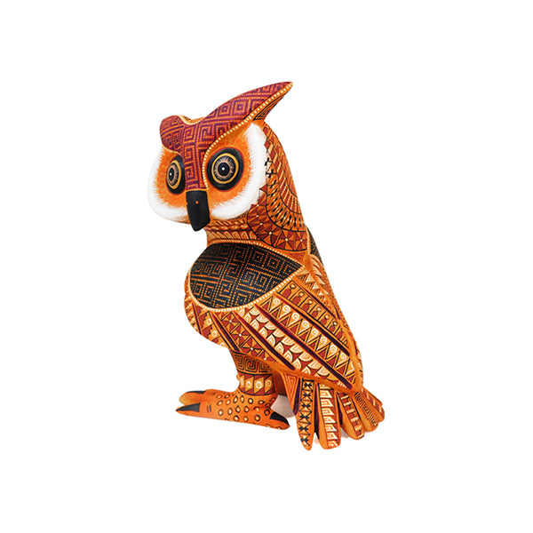 Rocio Fabian: Little Owl
