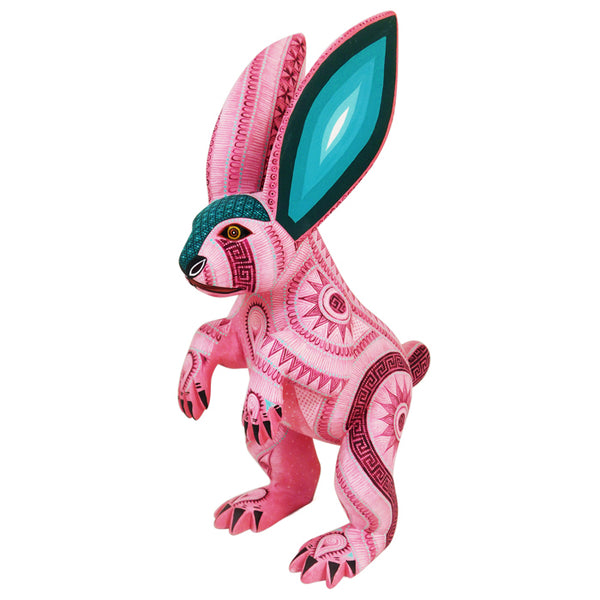 Rocio Fabian: Rose Rabbit