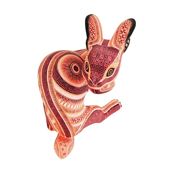 Rocio Fabian: Spectacular Rabbit
