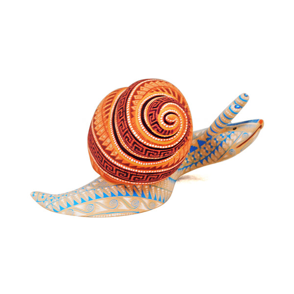 Rocio Fabian: Delicate Snail