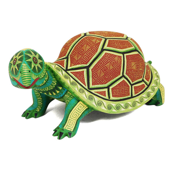 Rocio Fabian: Splendid Turtle
