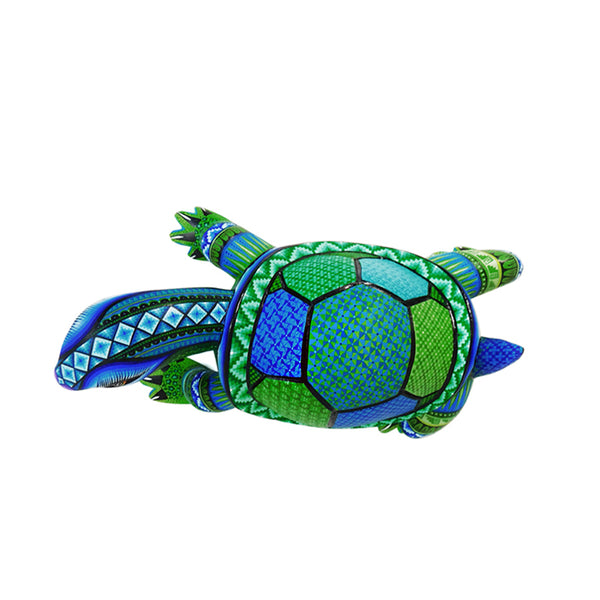Rubi Fuentes: Turtle