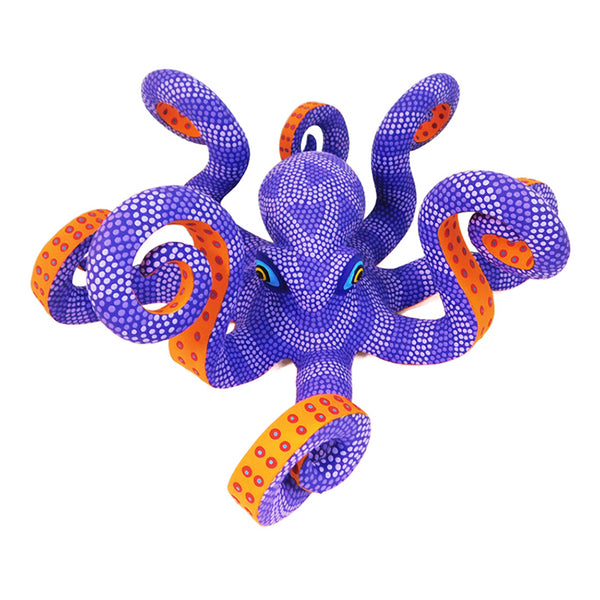 Saul Aragon: Large Octopus