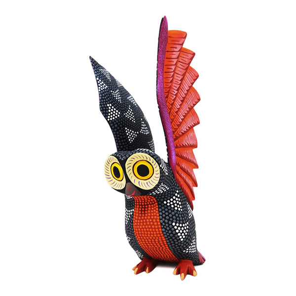 Saul Aragon: Owl
