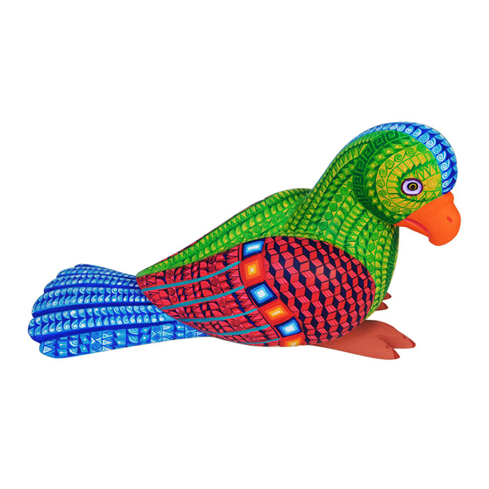 Saul Aragon: Rainforest Parrot Woodcarving