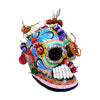 products/Saul_Montesinos_Insects_Skull_Day_of_the_Dead_Inside_Mexico_6677.jpg