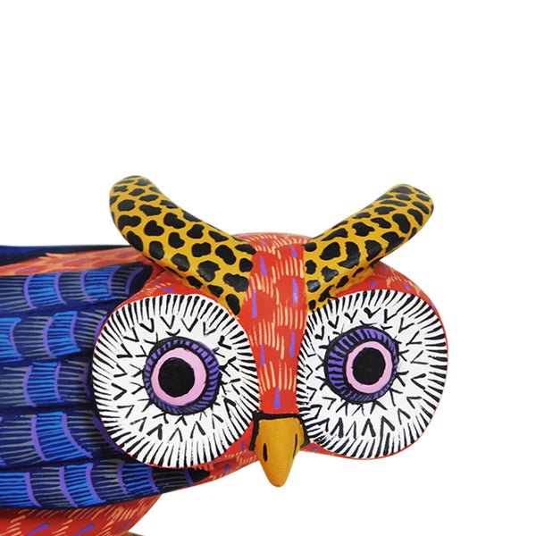 Susano Morales: Owl