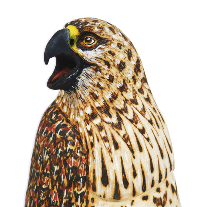 Victor Martinez: Unique Falcon