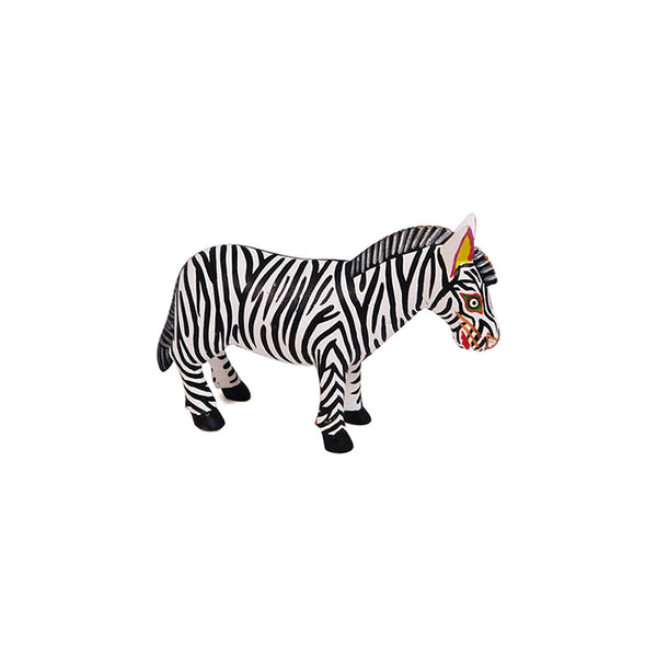 Victor Xuana: Miniature Zebra