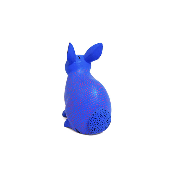 Victor Xuana: Miniature Rabbit