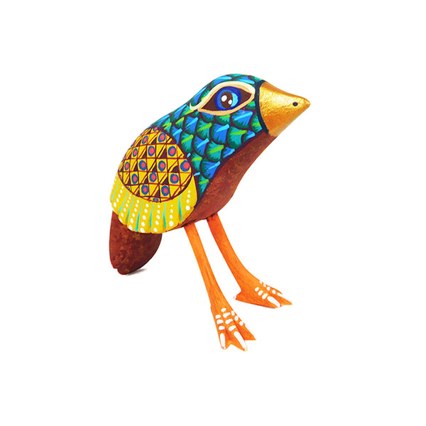 Yeshuah Villavicencio: Little Bird
