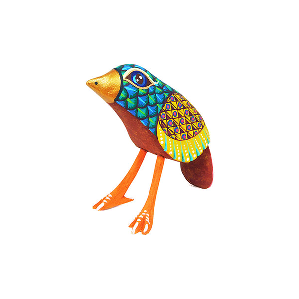 Yeshuah Villavicencio: Little Bird
